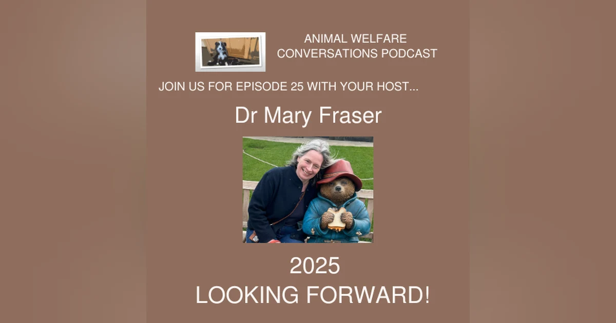 2025 - Looking Forward