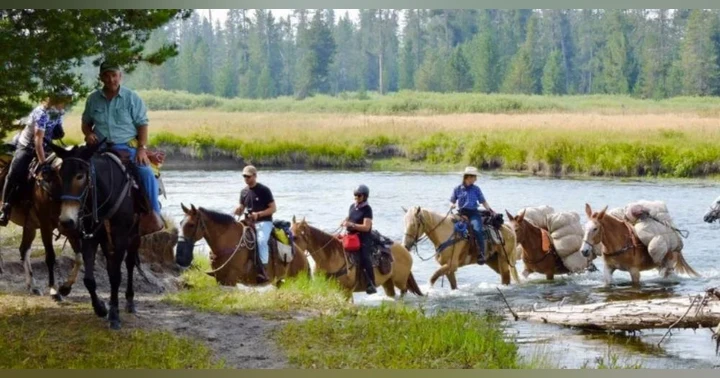 image for This Grizzly Picked the Wrong Camp: An Epic Yellowstone Backcountry Story