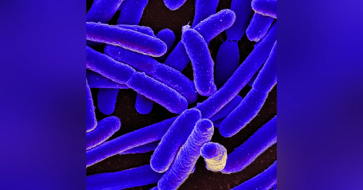 S5 E5: Normal Flora? The Story of E. coli