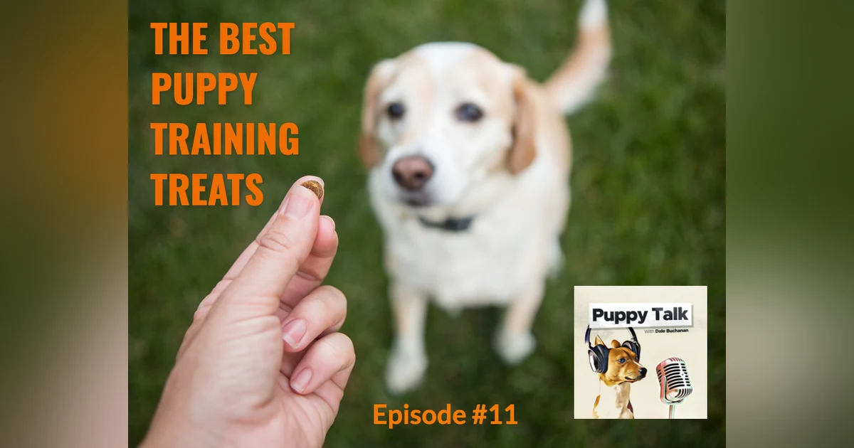 The Best Puppy Training Treats