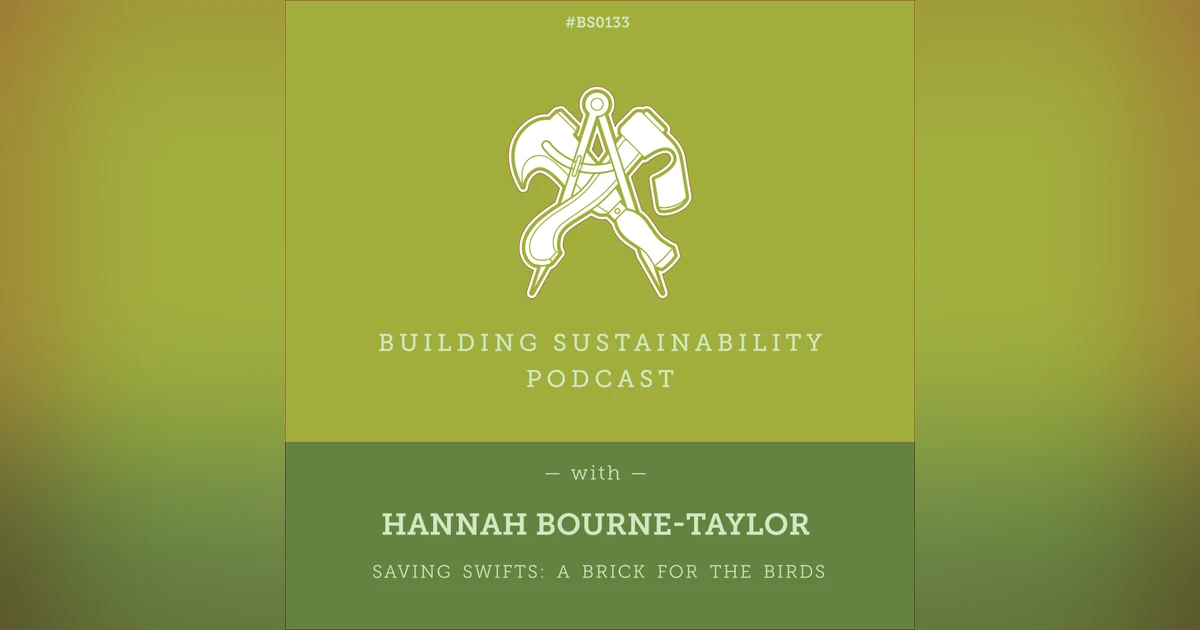 Saving Swifts: A Brick for the Birds - Hannah Bourne-Taylor - BS133