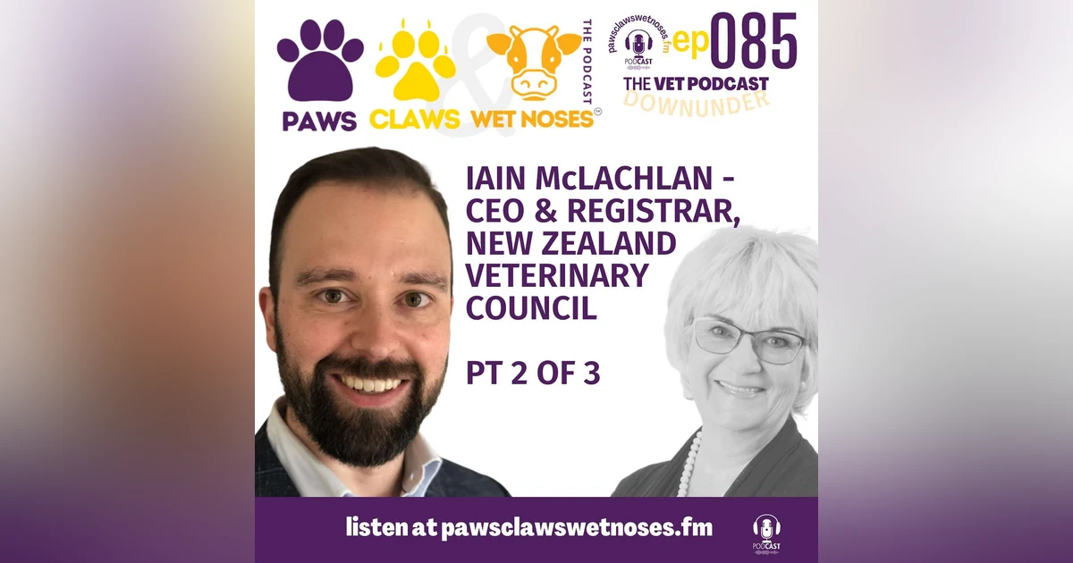 Iain McLachlan - CEO and Registrar - New Zealand Veterinary Council - pt 2 of 3