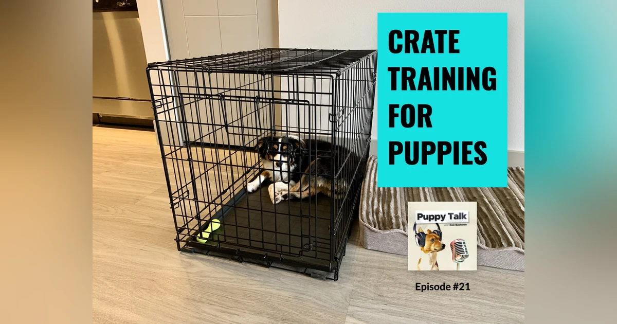 Crate Training for Puppies