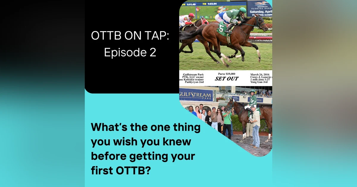 Ep.2 -- What's the one thing you wish you knew before buying your first OTTB?