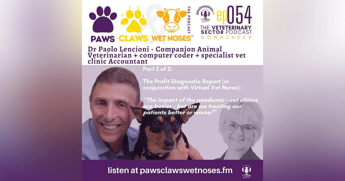 Vet Clinics and the pandemic - are patients being treated better or worse (pt 2) + doggie dancing with Dr Paolo Lencioni - ep 054