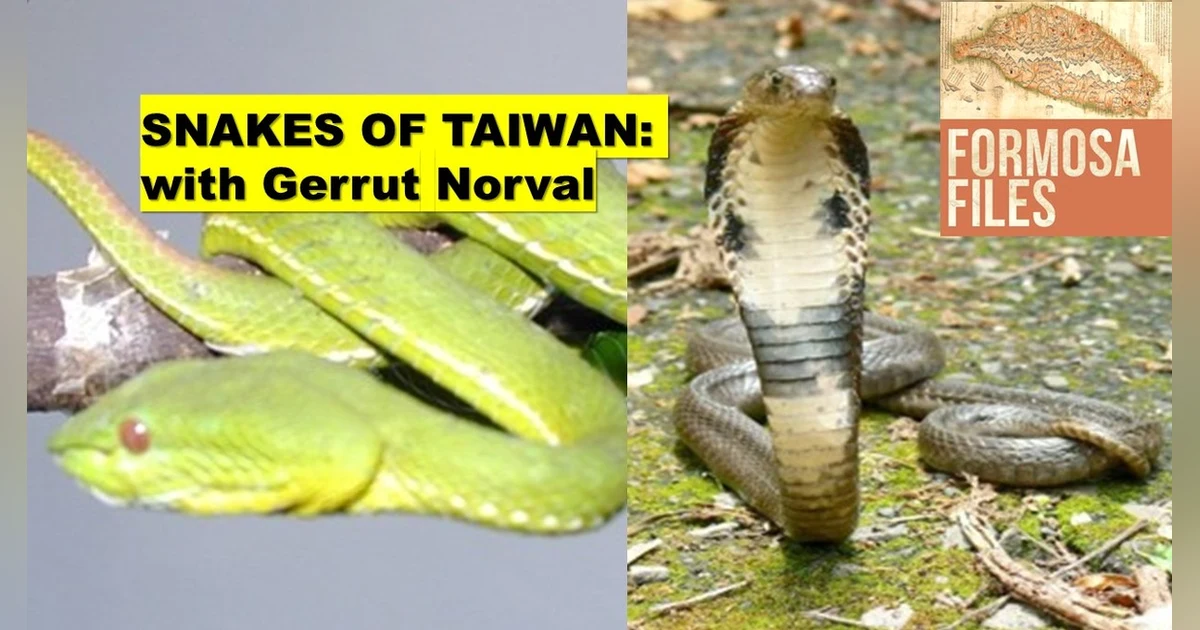 Snakes of Taiwan (with Gerrut Norval) – S6-E16