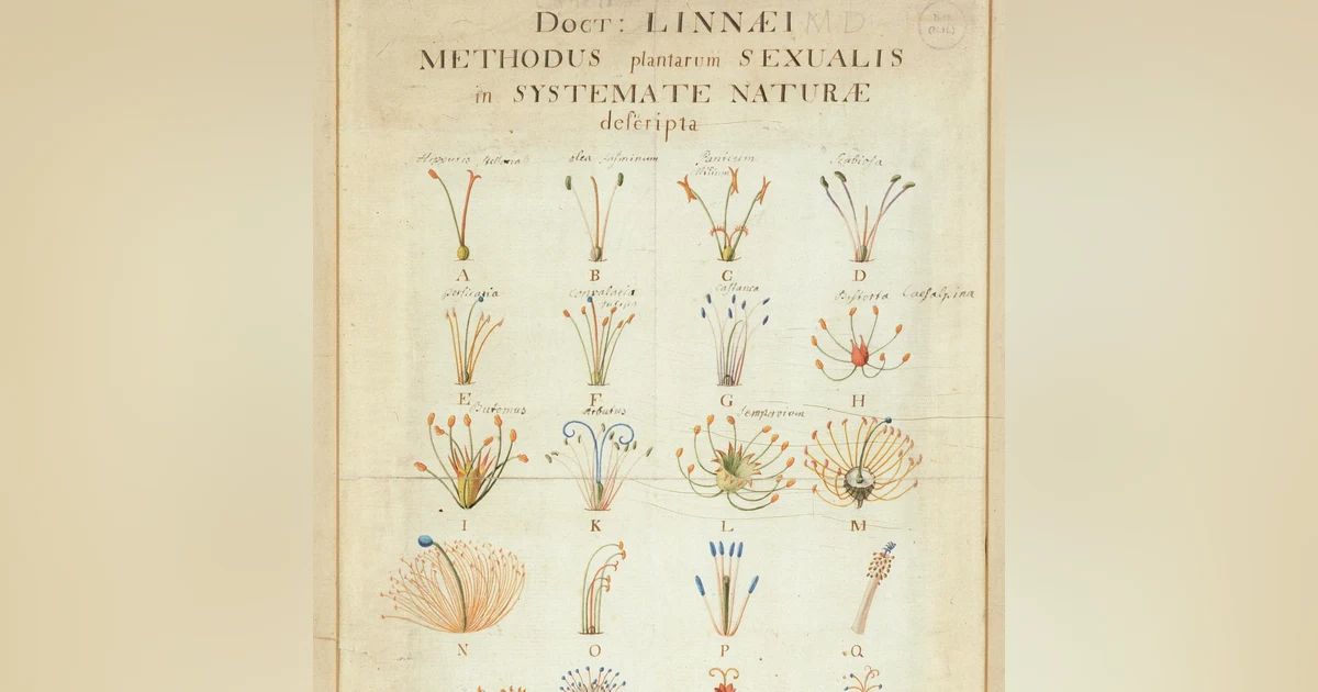 The Beauty of Botanicals with Michael Craig