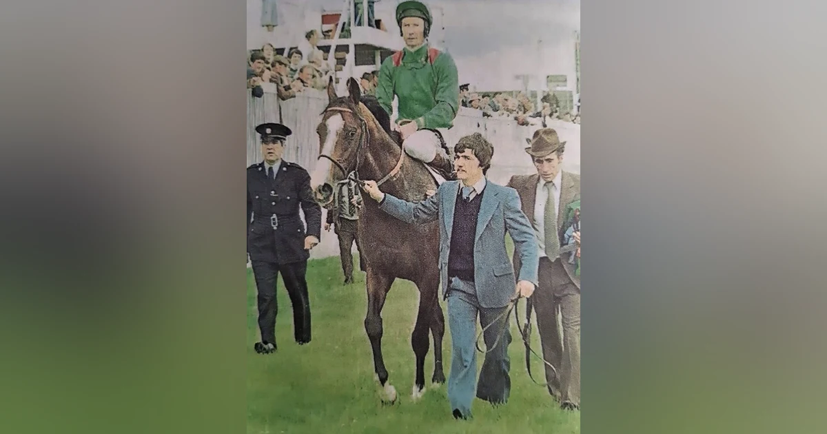 The Disappearance of a Legend: Shergars Story