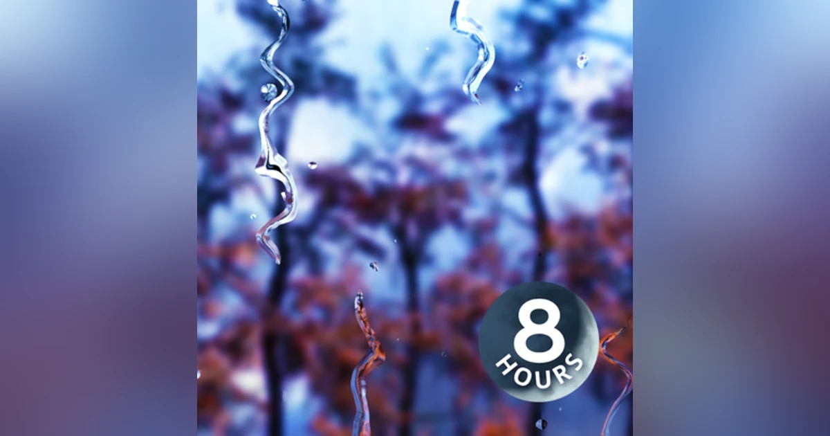 Rain Sounds White Noise for Sleeping or Studying (8 Hours)