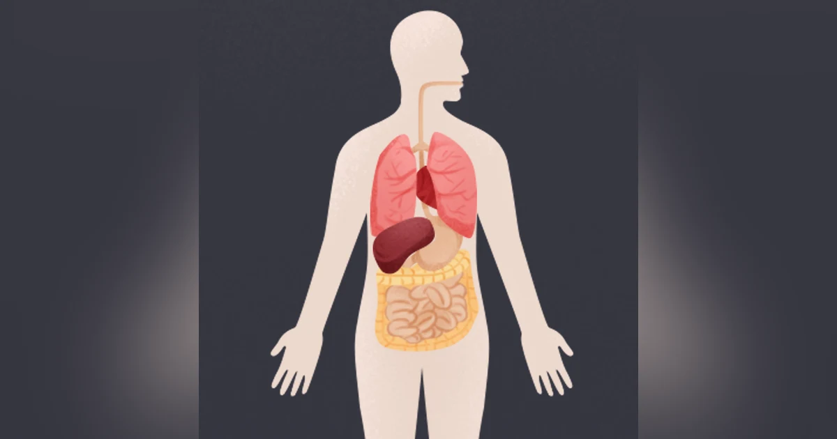 The Body: A Guide for Occupants by Bill Bryson