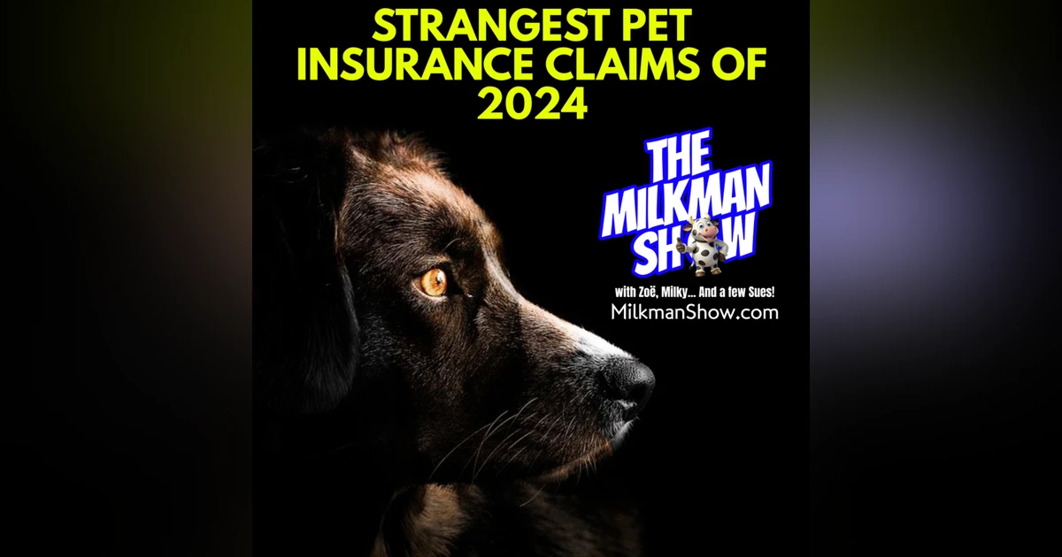 Strangest Pet Insurance Claims Of The Year