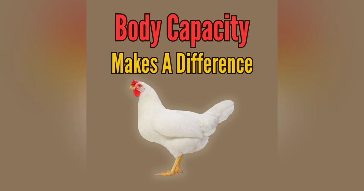 Coop Wisdom About Body Capacity