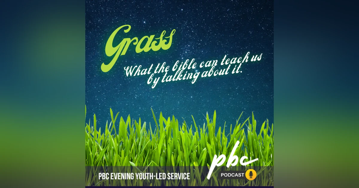 Youth-Led Service: Grass