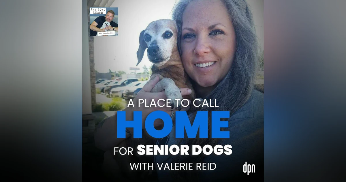 A Place to Call Home for Senior Dogs with Valerie Reid | The Long Leash #65
