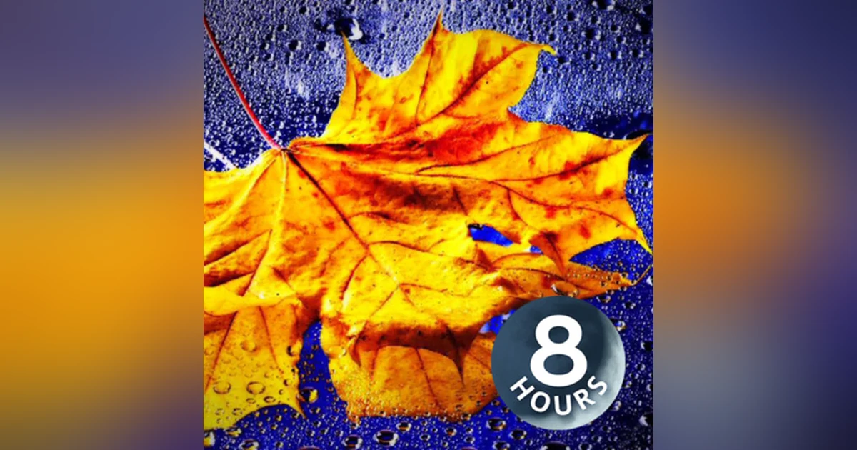 Gentle Rain Sounds for Relaxation or Sleep 8 Hours