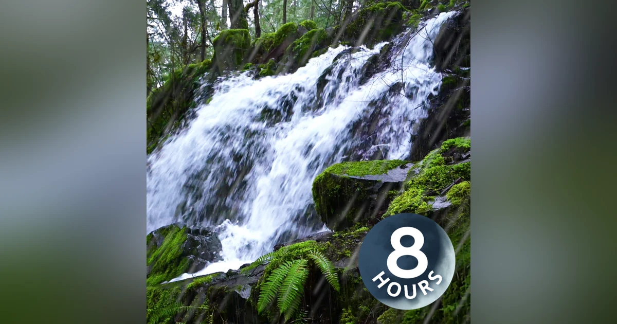 Waterfall & Rain Sounds in Peaceful Forest | Relax or Study to Water White Noise 8 Hours