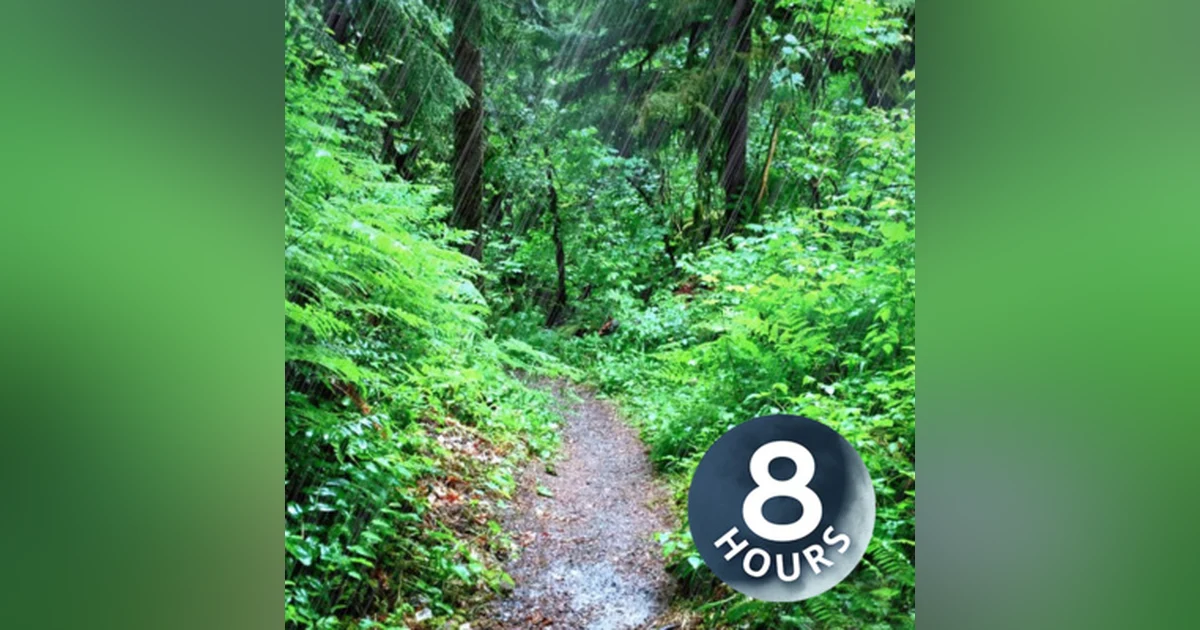 Rainy Day Pacific Northwest 8 Hours | Rain Sounds for Relaxation, Sleeping or Studying | White Noise