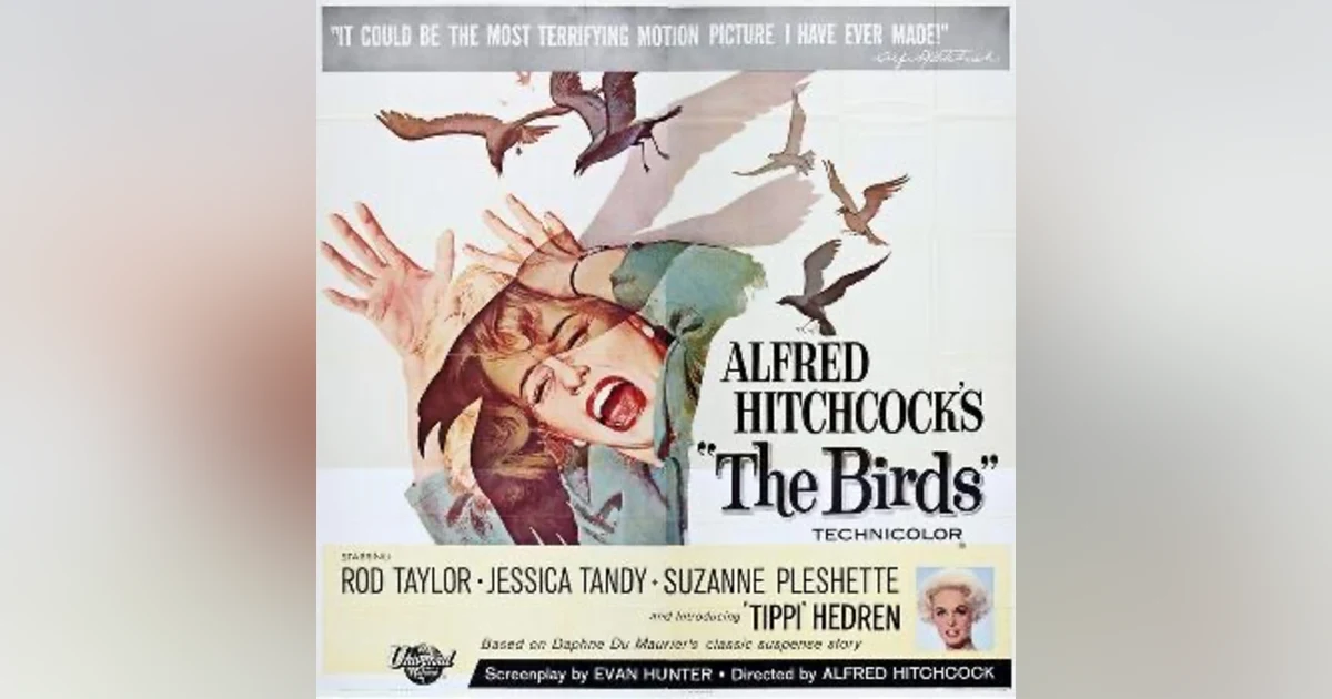The Birds' 60th Anniversary. Talking with Shaun Chang of the Hill Place Movie and TV Blog.