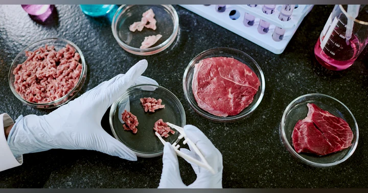 image for Health Warning! 3D Printed Meat In US Supermarkets