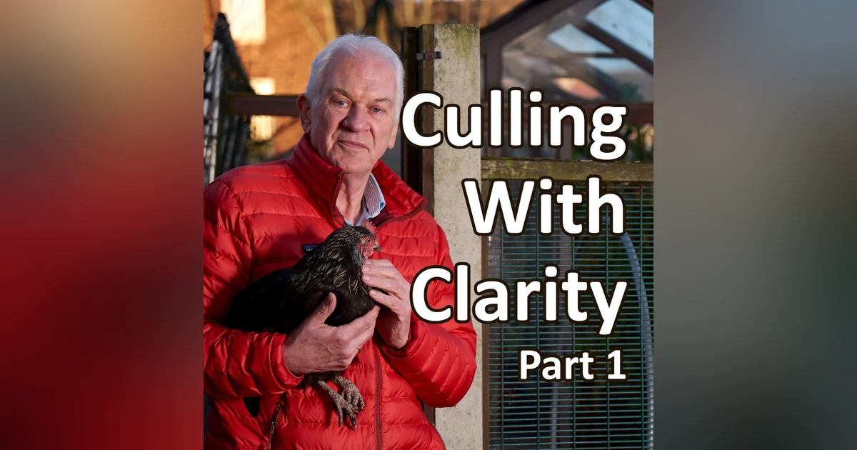 Culling With Clarity-Part 1