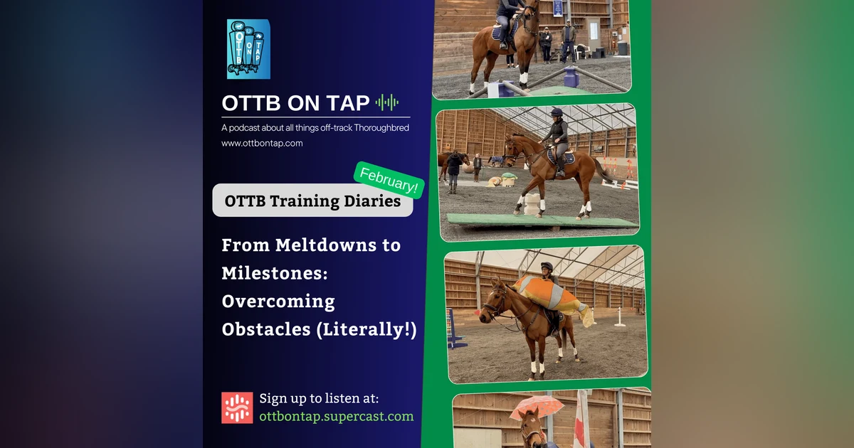 OTTB Training Diaries – February Recap: From Meltdowns to Milestones (Preview!)