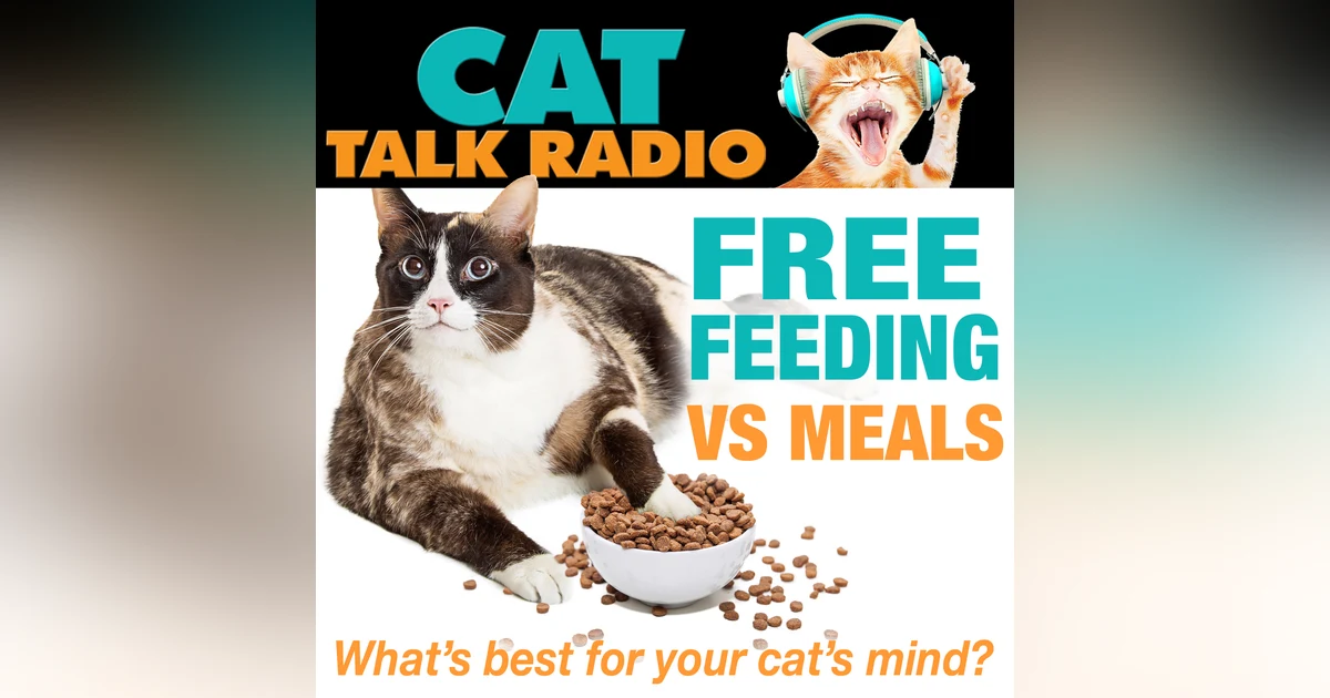 Free Feeding vs. Meal Feeding: What's Best for Your Cat's Mind?
