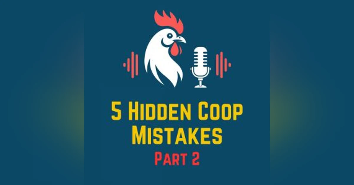 5 Hidden Coop Mistakes Hurting Your Birds Episode 2