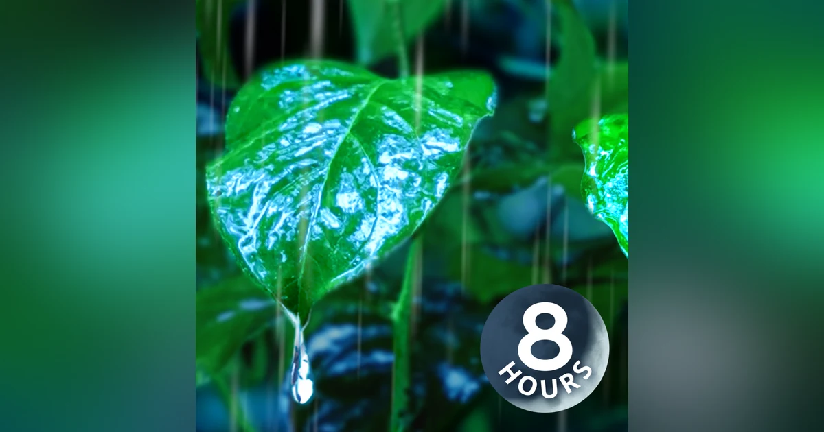 White Noise of Heavy Rain Lulls You To Sleep | 8 Hours