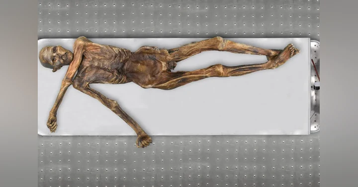 image for Brewing Bread from a 5,300-Year-Old Body: Ötzi, Ancient Yeast, and Corpse Medicine Reborn