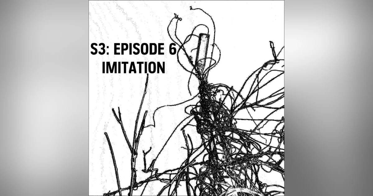 S3: E06 - Imitation