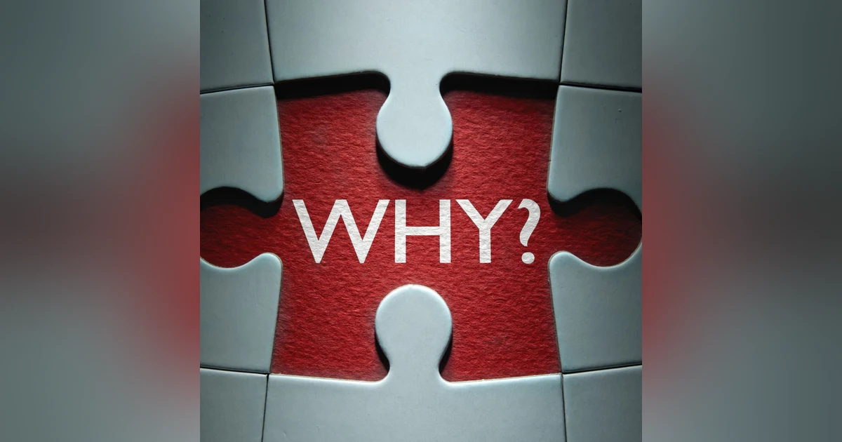 Why You Do What You Do?