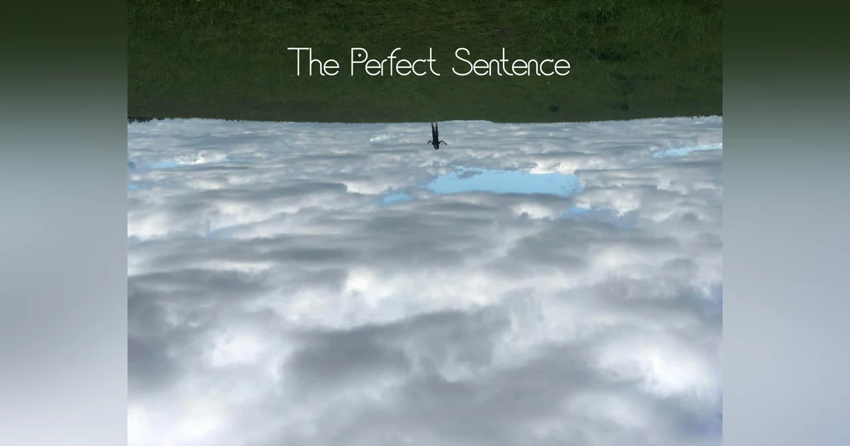 Introducing: The Perfect Sentence