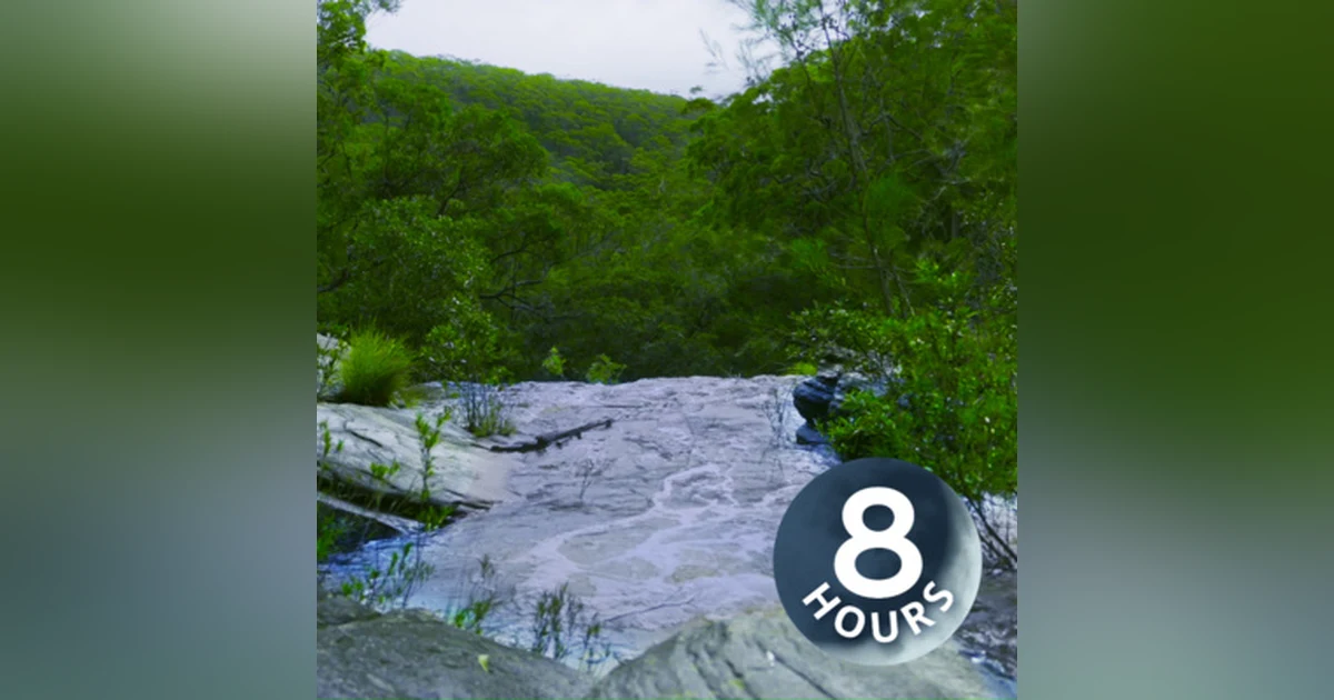 Australian Water White Noise to Study & Concentrate | River in Ancient Forest 8 Hours