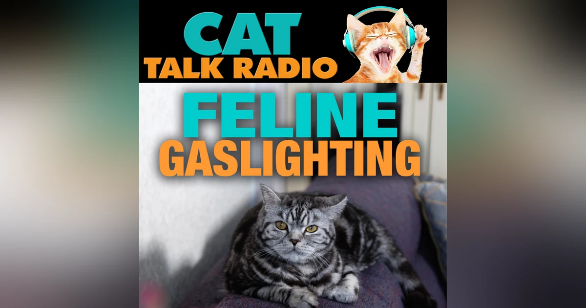 Feline Gaslighting: Why Your Cat Acts Differently Around Different People