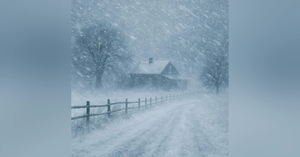 Snow Blizzard in the Countryside | Intense Winter Storm Sounds for Sleep and Focus