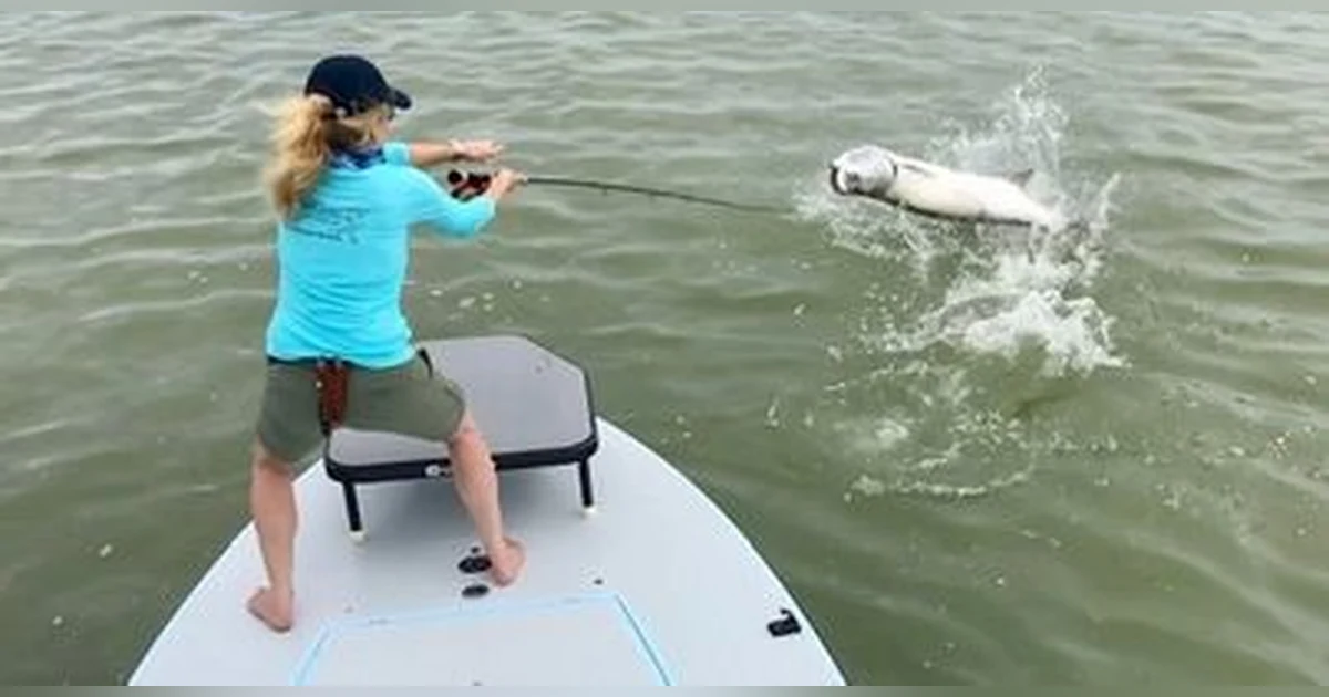 EP. 239 Extreme Fishing Adventures With World Traveller and Record Breaker Kesley Gallagher