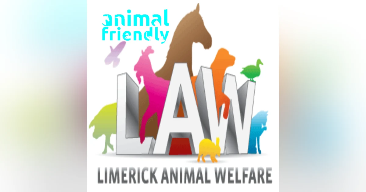 6. A great day out at Limerick Animal Welfare