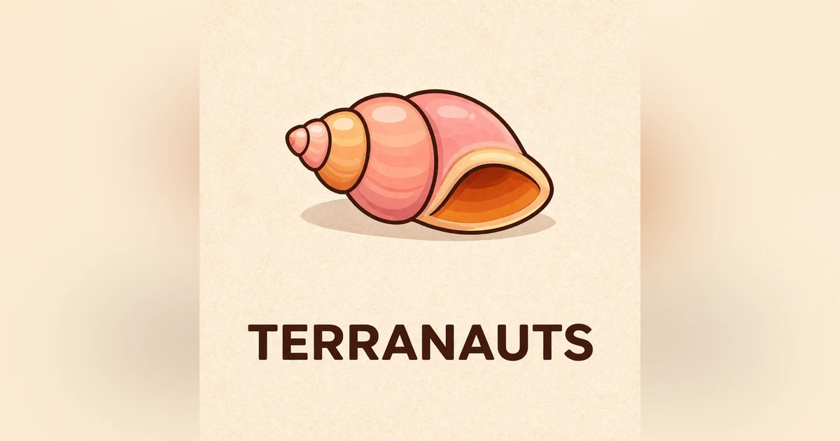 ¡Conchitas de mar!