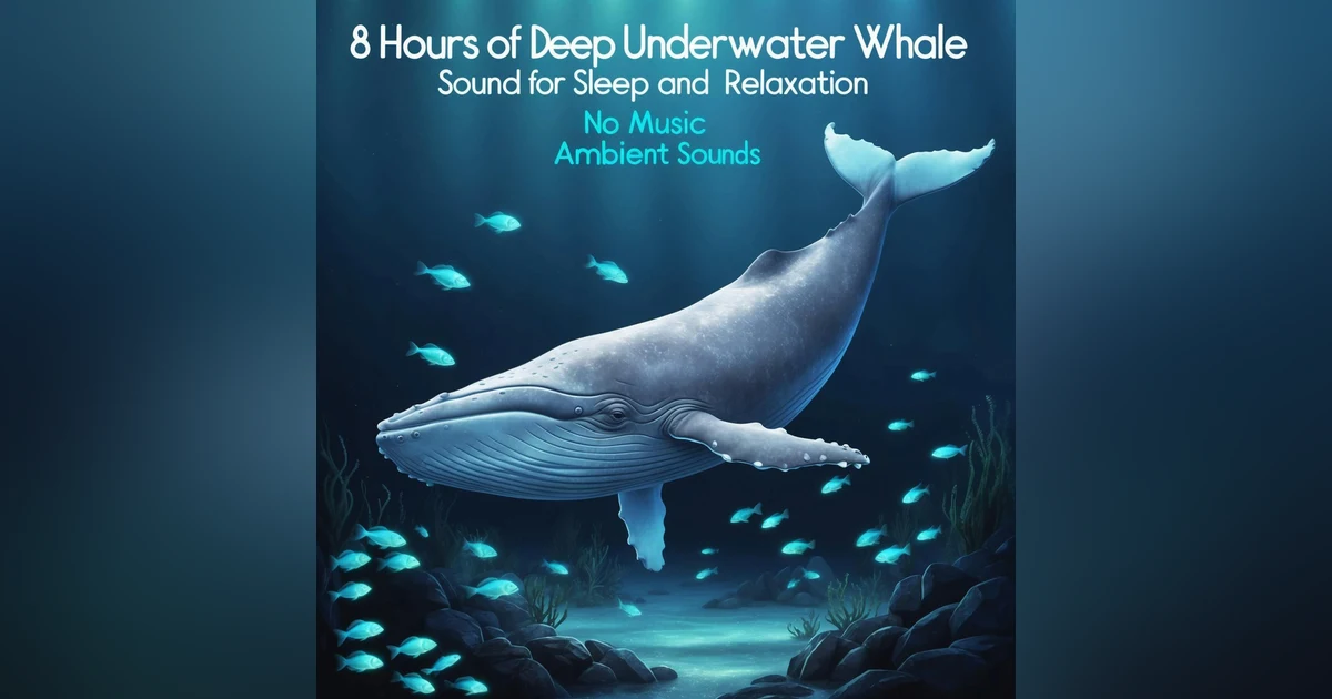 8 Hours of Deep Underwater Whale Sounds for Sleep and Relaxation - [NO MUSIC] - Ambient Sounds
