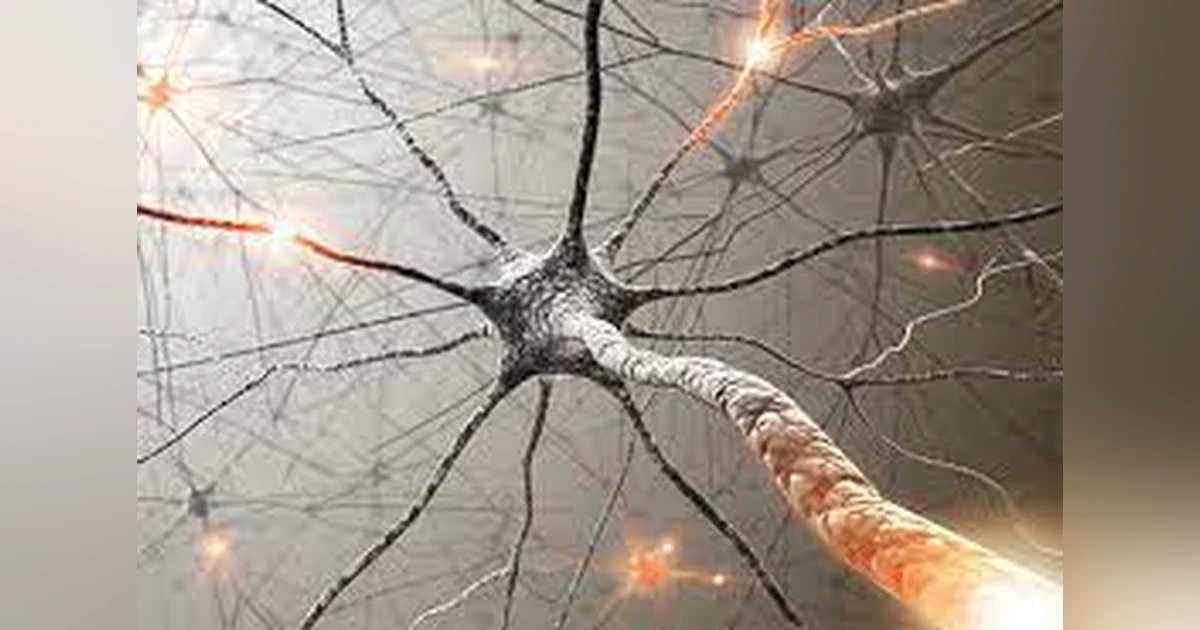 New Neural Pathways in Five Minutes a Day!