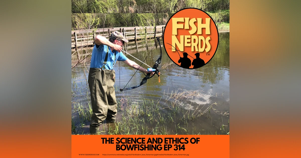 The Science and Ethics of Bowfishing Fish Nerds 314