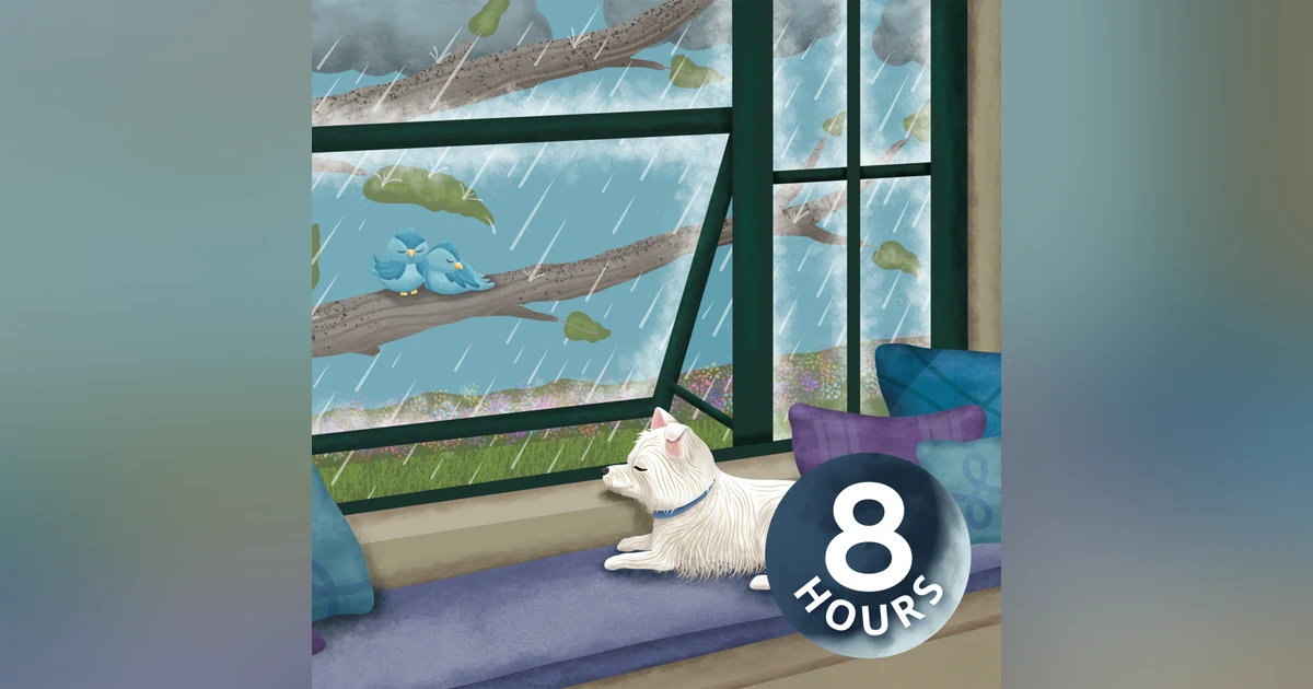 Rain & Nature Sounds to Ease Your Dog's Barking 8 Hours
