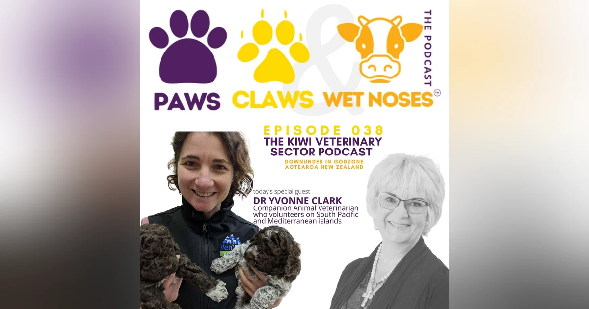 038 - Dr Yvonne Clark - Companion Animal Veterinarian | Volunteer Veterinarian | New Zealand - similarities and differences as a veterinarian
