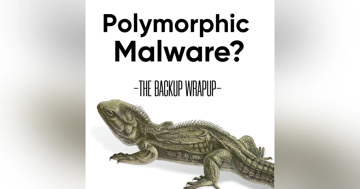 How Polymorphic Malware Evades Detection — And What to Do About It