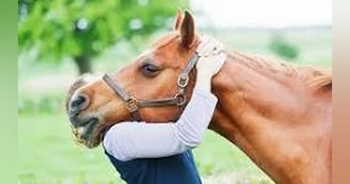 image for Finding Ground: Why Equine Therapy Is a Powerful Ally for Mental Health