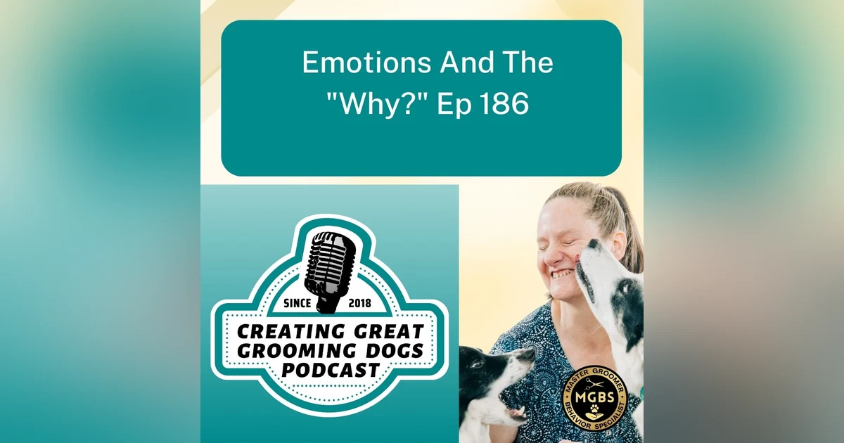 Emotions And The "Why?" Ep 186