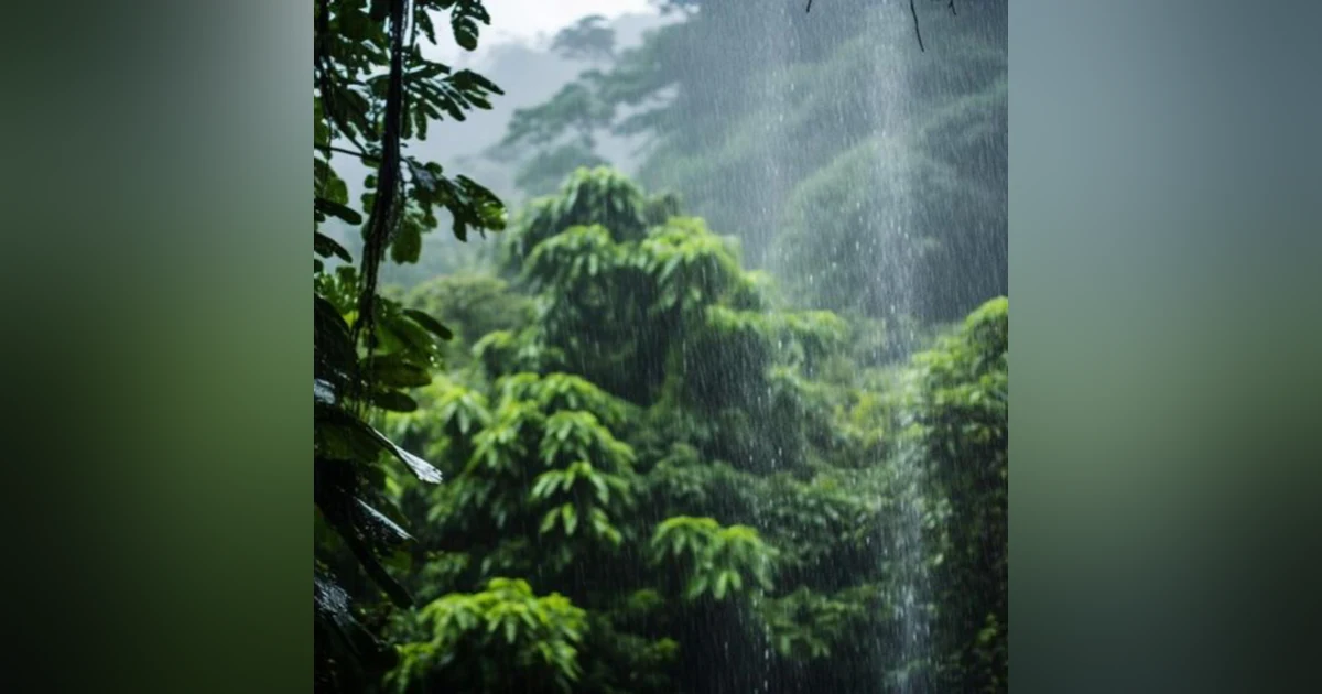 8 horas de sonido de lluvia y truenos para dormir
