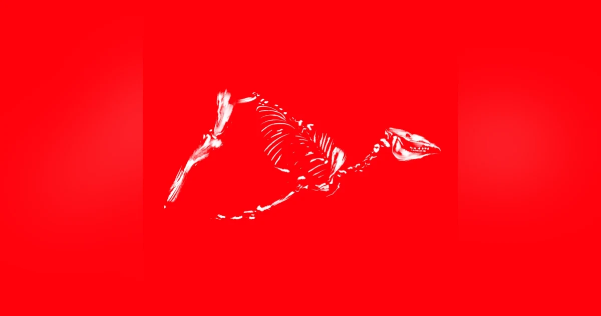 New! Upon A Red Horse: Act IV
