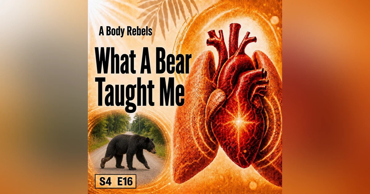 What a Black Bear Taught Me About Chronic Illness