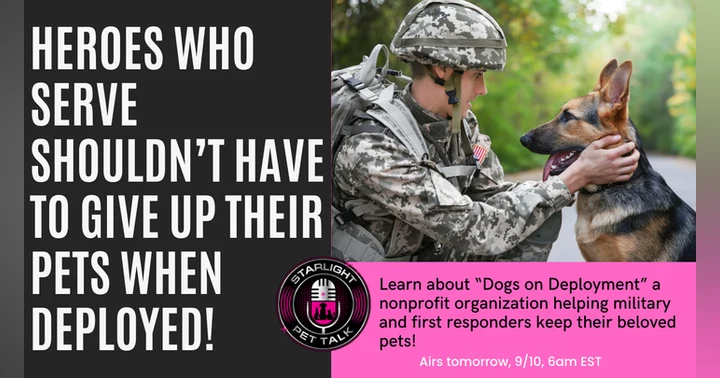 image for How Dogs on Deployment is Making a Difference: Get Involved Today!